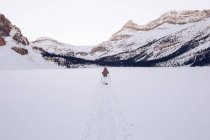 Pessoas andando no campo nevado no Canadá — Fotografia de Stock