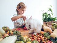 Молодий хлопчик стоїть і готує овочі за столом з чарівним білим кроликом — стокове фото