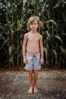 Маленький хлопчик у шортах на кукурудзяному полі — стокове фото