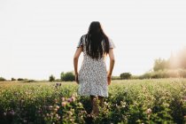 Back view of a woman walking on sunny field — Stock Photo