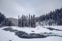 River with snowy banks flowing through cleft?in winter woods with many firs on background with mountains and cloudy sky — Stock Photo