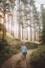 Fotograf wandert auf Pfad im grünen Wald — Stockfoto