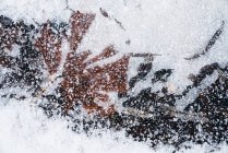 Neve che cade a terra — Foto stock