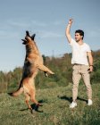 Hombre jugando con perro en la naturaleza - foto de stock