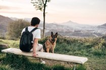 Man playing with dog in nature — Stock Photo