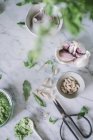 Ingredients for making arugula pesto sauce on white marble counter — Stock Photo