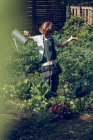 Хлопчик поливає рослини в саду — стокове фото