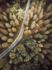 Вид с воздуха на асфальтированную сельскую дорогу в зеленых лесах — стоковое фото
