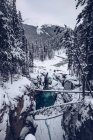Rivière avec des berges enneigées coulant à travers les bois d'hiver avec de nombreux sapins en arrière-plan avec des montagnes et un ciel nuageux — Photo de stock
