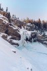 Vue de dessous de falaise rocheuse dans la glace et la neige avec des arbres sempervirents en croissance au-dessus sous la lumière du soleil, Canada — Photo de stock