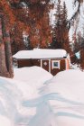Вид на невелику каюту, вкриту снігом у спокійних лісах з темним листям в денне світло — стокове фото