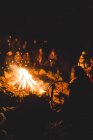 Gruppo di persone che si riuniscono attorno al fuoco nei boschi — Foto stock