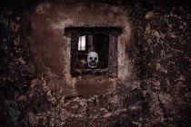 Skull in window on shabby old wall — Stock Photo