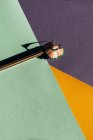 Bleistift und Spitzspäne, auf farbigem geometrischem Hintergrund. Zurück zum Schulkonzept — Stockfoto