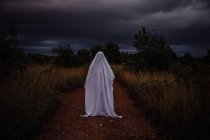 Persona travestita da fantasma che cammina su strada in campagna — Foto stock