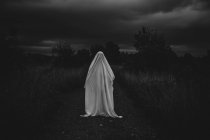 Человек, замаскированный под призрака, идущего по дороге в сельской местности — стоковое фото