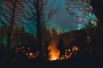 Grupo de personas reunidas alrededor del fuego en los bosques - foto de stock