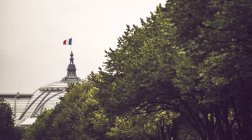 Крыша Большого дворца с флагом Франции за деревьями, Париж, Франция — стоковое фото