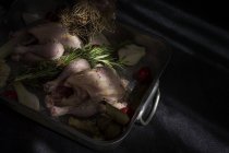Pollos enteros crudos listos para asar en una bandeja para hornear con ingredientes - foto de stock