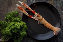 Boiled shrimp on black plate with bunch of fresh parsley — Stock Photo