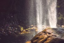 Дивовижний вид на тонкий струмок води, що падає зі скелі в величних мексиканських джунглях. — стокове фото