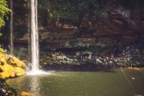 Потрясающий вид на тонкий поток воды, падающей со скалы в величественных мексиканских джунглях — стоковое фото