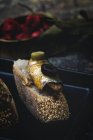 Gros plan du pain avec du poisson en conserve et des olives — Photo de stock