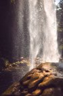 Дивовижний вид на тонкий струмок води, що падає зі скелі в величних мексиканських джунглях. — стокове фото