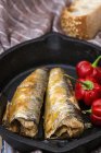 Canned sardines and fresh red peppers in pan — Stock Photo