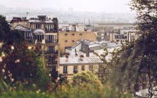 Trees and house rooftops covered with mist, Paris, France — Stock Photo