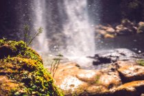 Vue imprenable sur le mince ruisseau d'eau tombant de la falaise dans la jungle mexicaine majestueuse — Photo de stock