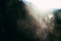 Nebel im Sonnenlicht über felsigem, schneebedecktem Tal mit Bach, der unter Nadelbäumen hinunterfließt — Stockfoto