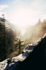 Morgennebel über Bäumen und Bergen mit verschneiten Hängen — Stockfoto