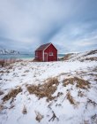 Cabane en bois rouge sur la rive enneigée en hiver, Lofoten, Norvège — Photo de stock