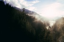 Brouillard sous la lumière du soleil au-dessus de la vallée enneigée rocheuse avec ruisseau coulant parmi les conifères — Photo de stock