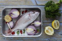Sargo do mar cru na assadeira com legumes na mesa de madeira — Fotografia de Stock