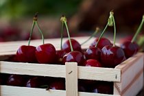 Close-up of wooden box of delicious ripe cherries on brown wood — Stock Photo