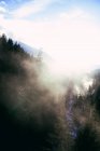 Nebel im Sonnenlicht über felsigem, schneebedecktem Tal mit Bach, der unter Nadelbäumen hinunterfließt — Stockfoto