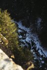 Arroyo de agua que fluye entre rocas y troncos en la nieve con árboles de coníferas alrededor - foto de stock
