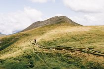 Traveler walking along green mountain ridge in nature — Stock Photo