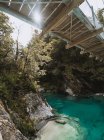 Вузький лісовий міст перетинає дивовижну гірську річку в сонячний день у Блу - Пулс (Нова Зеландія). — стокове фото