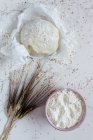 Sortimento de pães frescos e farinha — Fotografia de Stock