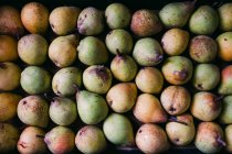 Peras frescas orgánicas maduras en capa - foto de stock