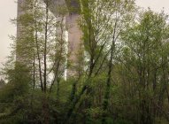 Hermoso viaducto blanco con árboles debajo - foto de stock