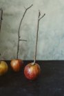 Äpfel auf Holzstäbchen zur Herstellung von Karamell-Halloween-Leckerbissen — Stockfoto