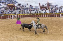 Spanien, Tomelloso - 28. 08. 2018. Ansicht von Stierkämpfer, der Pferd reitet und mit Stier auf sandigem Gelände kämpft, mit Menschen auf der Tribüne — Stockfoto