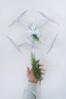 Maschio mano tenendo ramo di abete accanto al drone avvolto come regalo di Natale su sfondo bianco — Foto stock