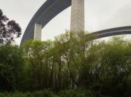 Hermoso viaducto blanco con árboles debajo - foto de stock