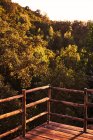 Point d'observation sur une plate-forme en bois avec clôture et vue sur une épaisse forêt ensoleillée avec de grandes branches et des feuilles verdoyantes le soir — Photo de stock