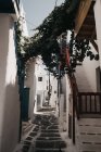 Small street between ancient white houses and shrubs in Mykonos, Greece — Stock Photo